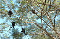  2007-12-10 10.46.14.JPG 